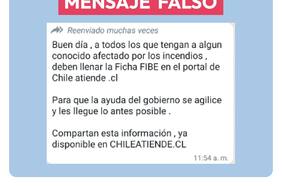 Seremi de Desarrollo Social de Valparaíso desmiente mensaje que instaba a afectados por incendio a llenar de forma online ficha de emergencia