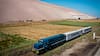 Recorrer Chile en tren: las 10 rutas para viajar por el país este verano
