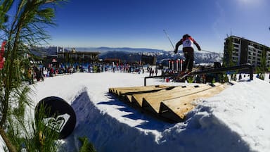 Andacor, dueña de Farellones y El Colorado, extiende su reorganización judicial hasta abril del 2026