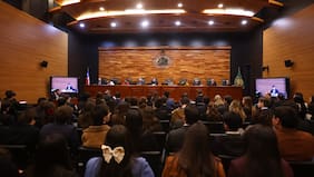 Oposición triunfa parcialmente: TC acota la invariabilidad tributaria e impugna toda la compensación por RCA