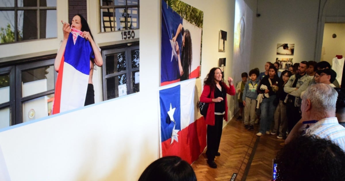 La bandera rota se queda en el museo: Dos meses después, la controversia por la obra de Janet Toro decantó de escándalo político a un debate de fondo sobre qué une y qué divide a los chilenos