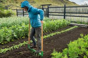 ¿Qué es la agricultura regenerativa?
