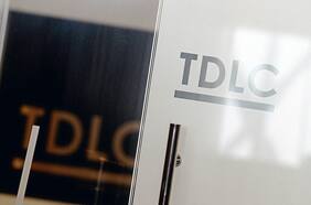 Los informes que encargaron los grandes grupos económicos para respaldar su rechazo a eventual regulación en TDLC