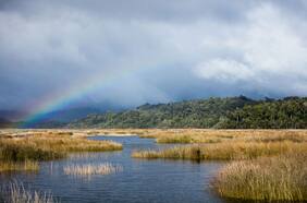 El nuevo mapa de los humedales en Chile: actualización identifica 5,6 millones de hectáreas