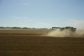 El suministro de alimentos se mantiene ajustado, mientras la decepcionante cosecha de Estados Unidos se suma a los desafíos mundiales