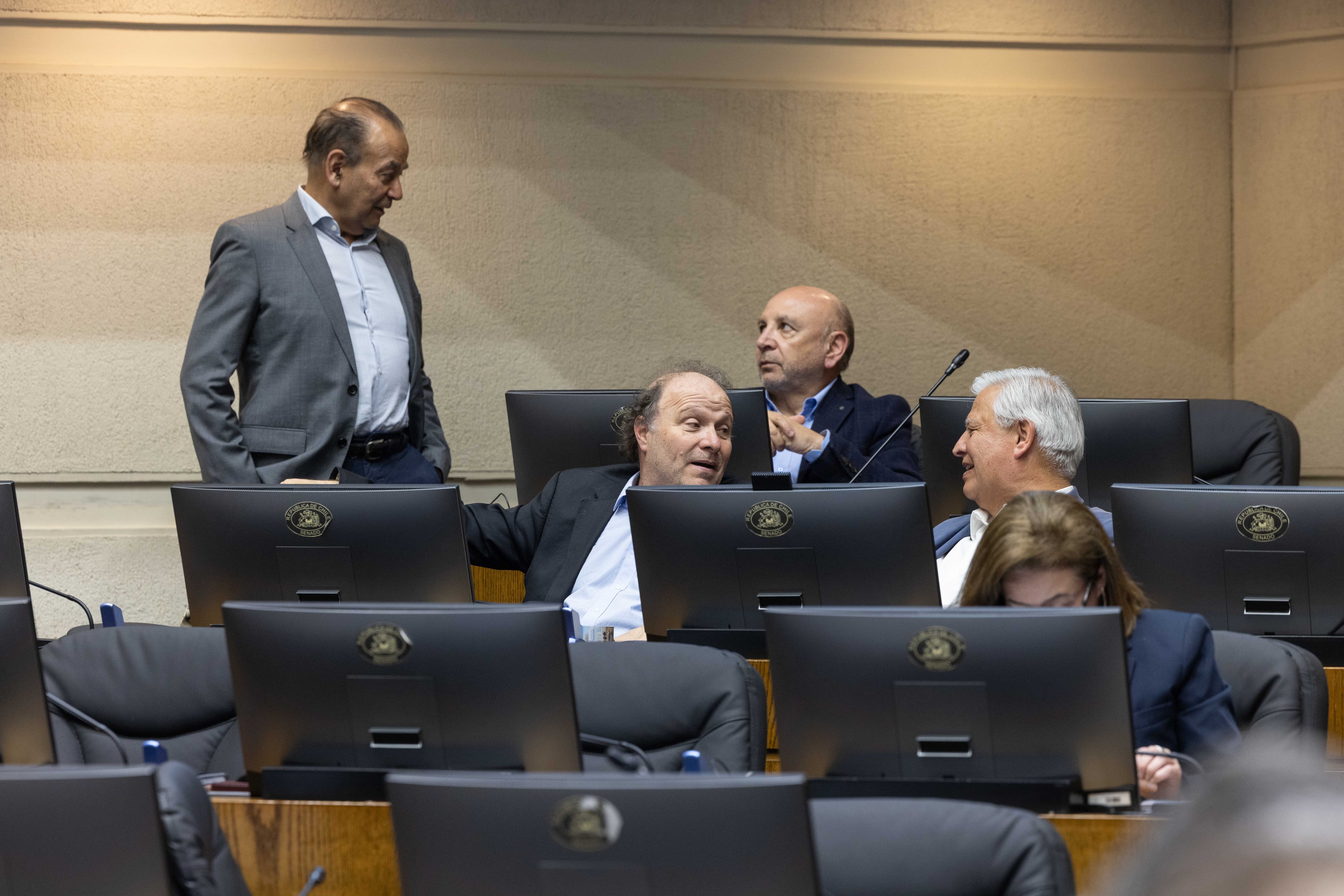 Agenda de seguridad: apertura de Celis (PPD) tensiona al Socialismo Democrático en la Cámara Alta