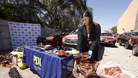 Operación Luna de Oro: cae banda dedicada a violentos robos en faenas mineras en el norte del país