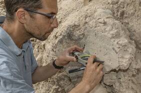 Muchos relatos de la Biblia son verdaderos: científicos verifican historias usando datos geomagnéticos