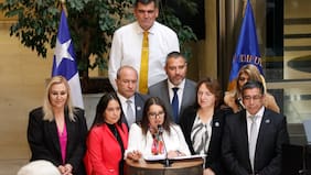 Costo fiscal del proyecto que compensa el IVA en gasto de pañales y medicamentos será de US$100 millones anuales