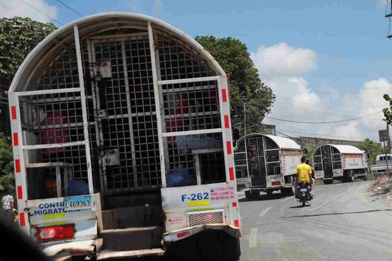 Migrantes haití-rep dominicana