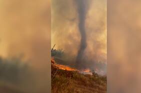 Captan “tornado de fuego” en medio de incendio forestal en Galvarino