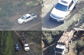 “El ISIS de Cayucupil”: las escuchas que develan el violento robo de madera en Arauco