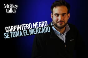 Carpintero Negro se toma el mercado