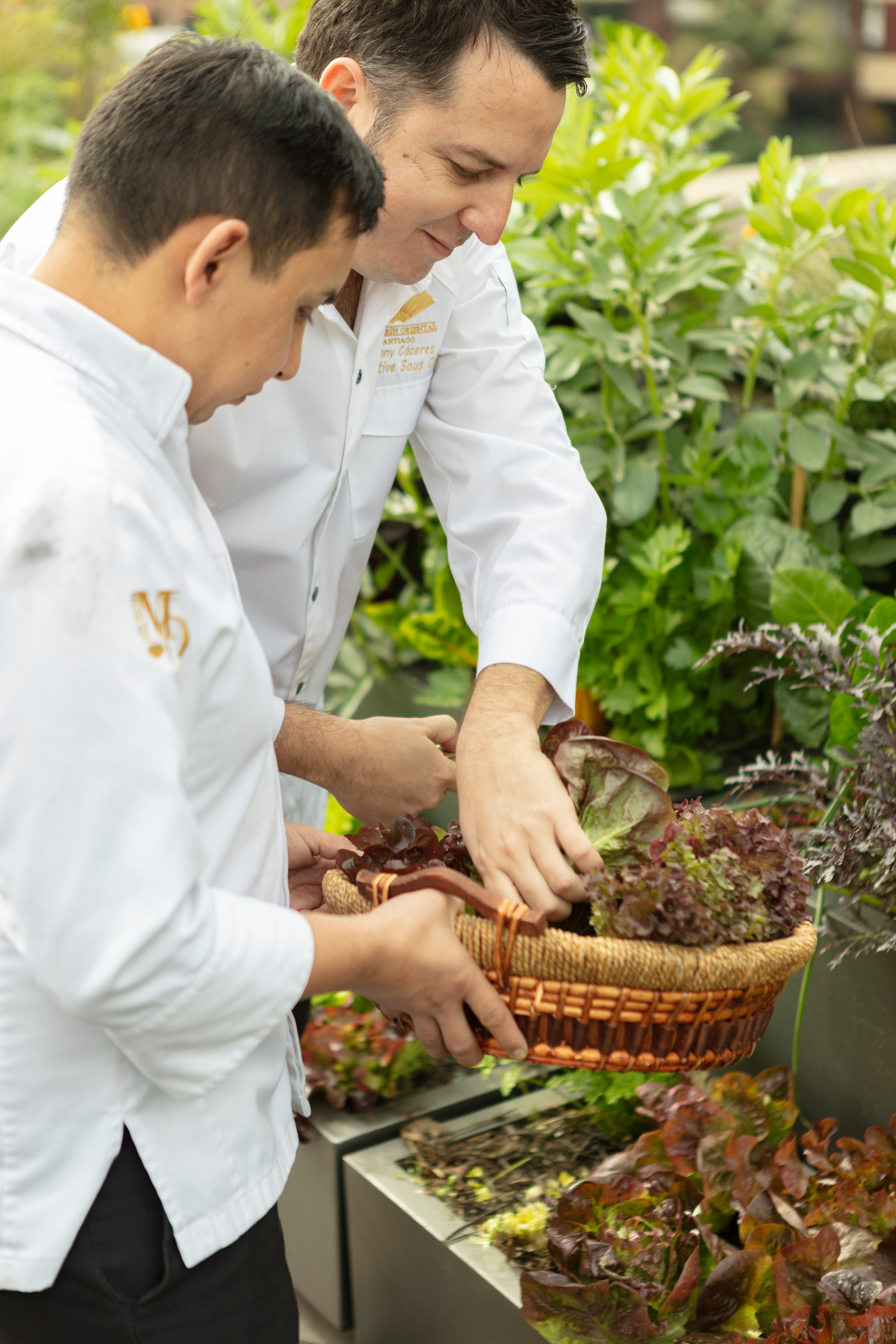 Estacionalidad, respeto por el producto y foco en la sostenibilidad: la propuesta gastronómica de Mandarin Oriental