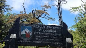 Buscan a dos hombres de 56 y 72 años extraviados en el Parque Nacional Villarrica