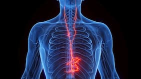 Qué es el nervio vago y cómo influye en tu salud y el estrés