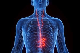 Qué es el nervio vago y cómo influye en tu salud y el estrés