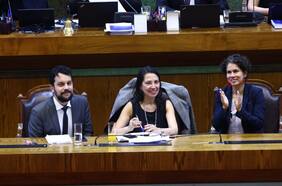 Cámara de Diputados aprueba ley para acelerar medidas de descontaminación de zonas latentes o saturadas