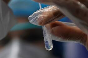 Variante andina: las mutaciones encontradas en muestras chilenas y peruanas que hoy preocupan a los científicos