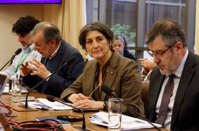 Reforma de salud: sin mecanismos de compensación, se complica proyecto que elimina las preexistencias