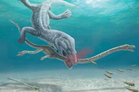 La “espantosa” decapitación de un antiguo monstruo marino