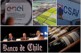 Radiografía de los directorios Ipsa 2024: el 22% de los asientos son ocupados por mujeres