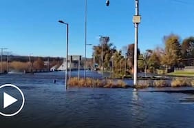 Rachas de viento provocan fuerte oleaje en Lago Villarrica: olas superan 50 centímetros