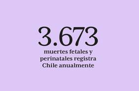 Hablemos de duelo gestacional