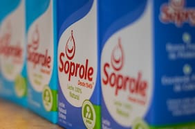 El último año de Fonterra en Soprole: utilidades bajan 8,1%, reparto de utilidades acumuladas y un crédito para capital de trabajo