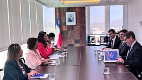 Daniel Mas sostiene la primera bilateral con la ministra de Minería, Aurora Williams