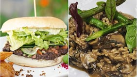 Con más de 30 establecimientos gastronómicos: así es la Guía de Lugares con Opciones Veganas en Valparaíso