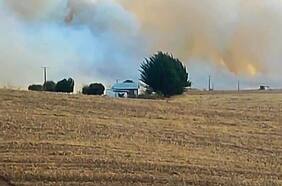 Declaran alerta roja en Nueva Imperial y Molina por incendios forestales que amenazan a zonas pobladas
