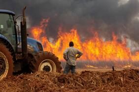 Ola de incendios en la Amazonía deja a Sao Paulo entre las grandes ciudades del mundo con peor calidad del aire