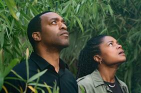 El hombre que cayó a la Tierra: una serie tras los pasos de David Bowie