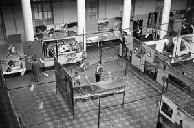 Columna de Alejandra Araya: Rostro de Chile, locura fotográfica