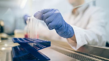 Radar LT | Terapias CAR-T para eliminar la leucemia