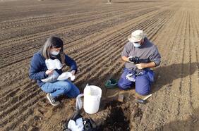 U. de Chile busca disminuir costos, aumentar productividad y reducir huella de carbono de agricultores mediante nueva tecnología de monitoreo de suelos