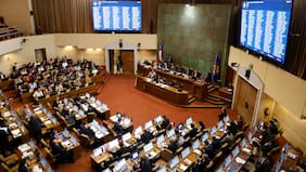 Cámara de Diputados aprueba la prórroga de estado de excepción constitucional en la Macrozona Sur