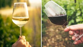 ¿Qué es más saludable, el vino tinto o el vino blanco? Esto dice la ciencia