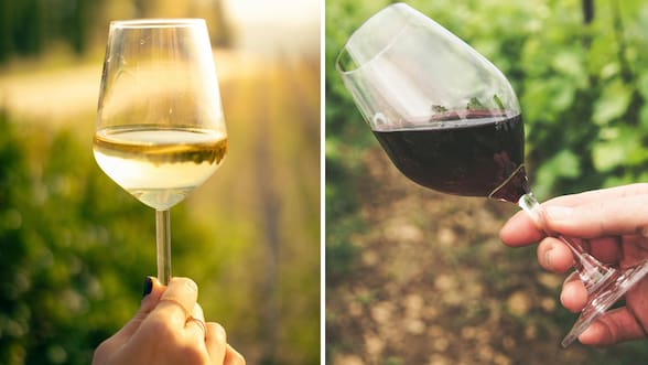 ¿Qué es más saludable, el vino tinto o el vino blanco? Esto dice la ciencia