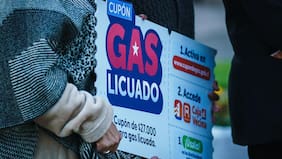Gobierno comienza implementación de subsidio al gas licuado con entrega de cupón de $27.000