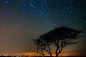 Lluvia de estrellas Oriónidas: Restos del cometa Halley se podrán apreciar esta noche en Santiago