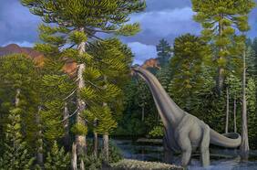 Desde tepuales que maravillaron a Darwin a araucarias que vivieron con dinosaurios: libro recoge la voz de los milenarios bosques nativos de Chile