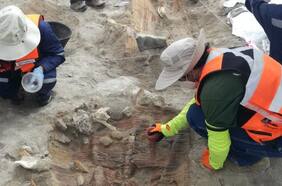 Herencia cultural y arqueología