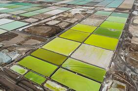 Abogados de Chile y EE.UU., interrogatorios y millones de dólares: la investigación de SQM por instrucción de la SEC