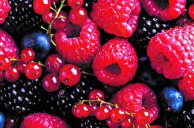 Empresa que denunció fraude en exportaciones de frambuesas critica actuar de la justicia y de la Direcon