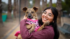 Mi mascota y yo: nos volvimos a poner de pie juntas