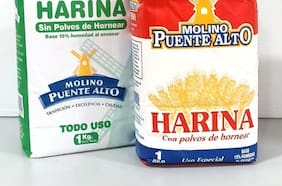 La disputa de la familia Castaño por el Molino de Puente Alto