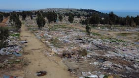 Desalojo de la megatoma de San Antonio finalizará esta semana con la entrega formal de la totalidad del terreno al propietario