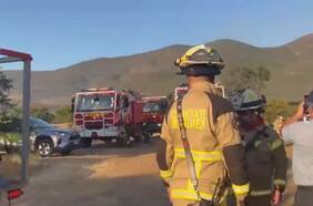 Valparaíso: Conaf reporta que incendio en La Ligua ha afectado al menos 177 hectáreas